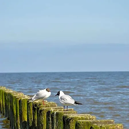 Seetelhotel Nautic Usedom & Fuer Wellness & Genuss Auf Usedom 4*